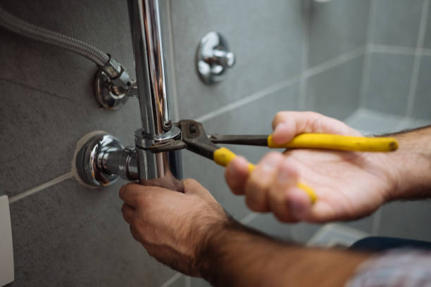 Best Commercial Plumbing Services  in Las Vegas, NM
